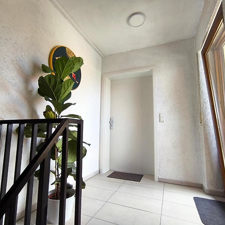 Hohberg Apartment In Hofweier Dg מראה חיצוני תמונה